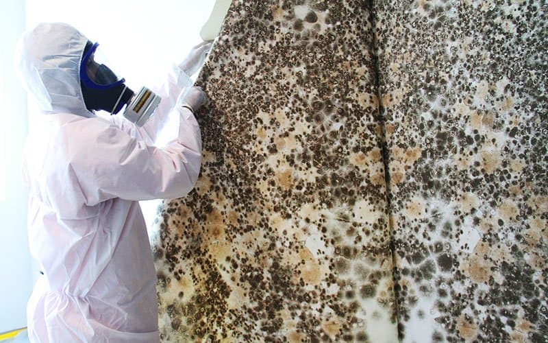 Mould Removal Singapore project photo 1
