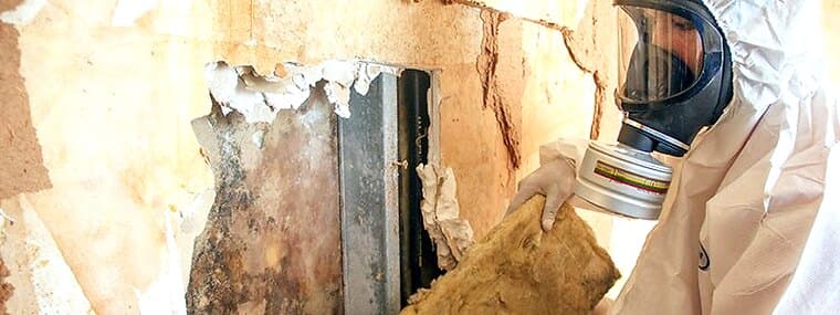 The Health Effects Of Mold On Children photo