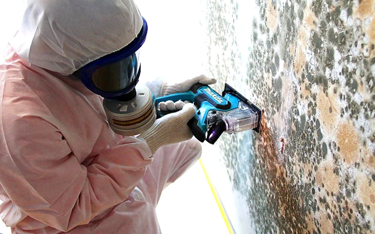 Indoor Mold and Fungus Elimination: DRS’s Comprehensive Remediation Approach