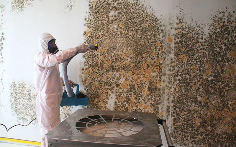 Mould Removal Singapore project photo