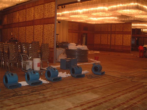 Water-Damaged Carpet Restoration project photo 4